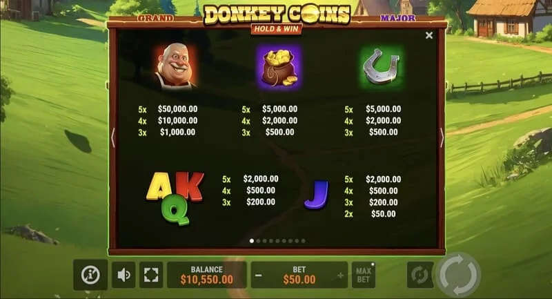 Donkey Coins Hold & Win - akur með límdum Coin táknum