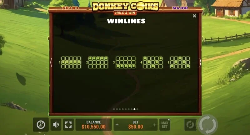 Donkey Coins Hold & Win - stór vinningur í sérstakri stillingu