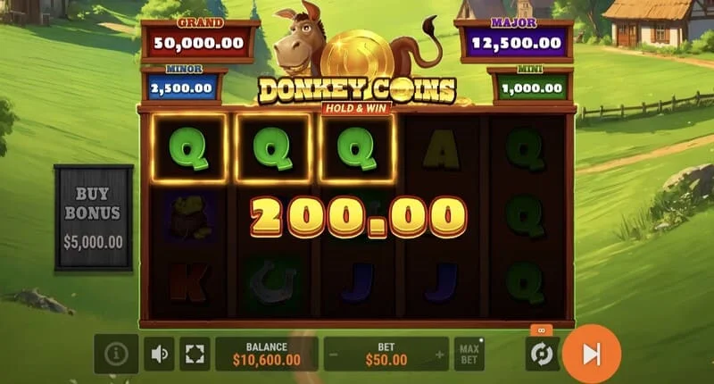 Donkey Coins Hold & Win - Hold & Win stilling byrjar